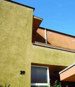 How to renovate a facade with algae